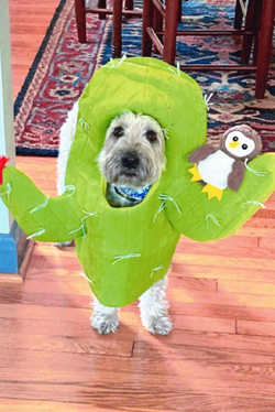 Lillie - January 2025