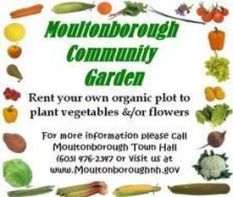 Community Garden Poster